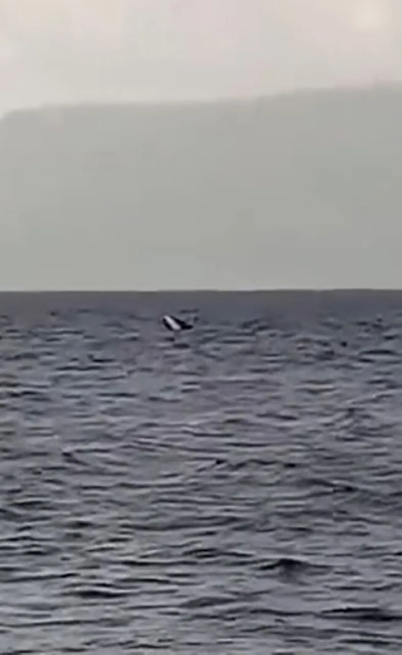 Sahil güvenlik ekipleri bölgeye sevk edildi