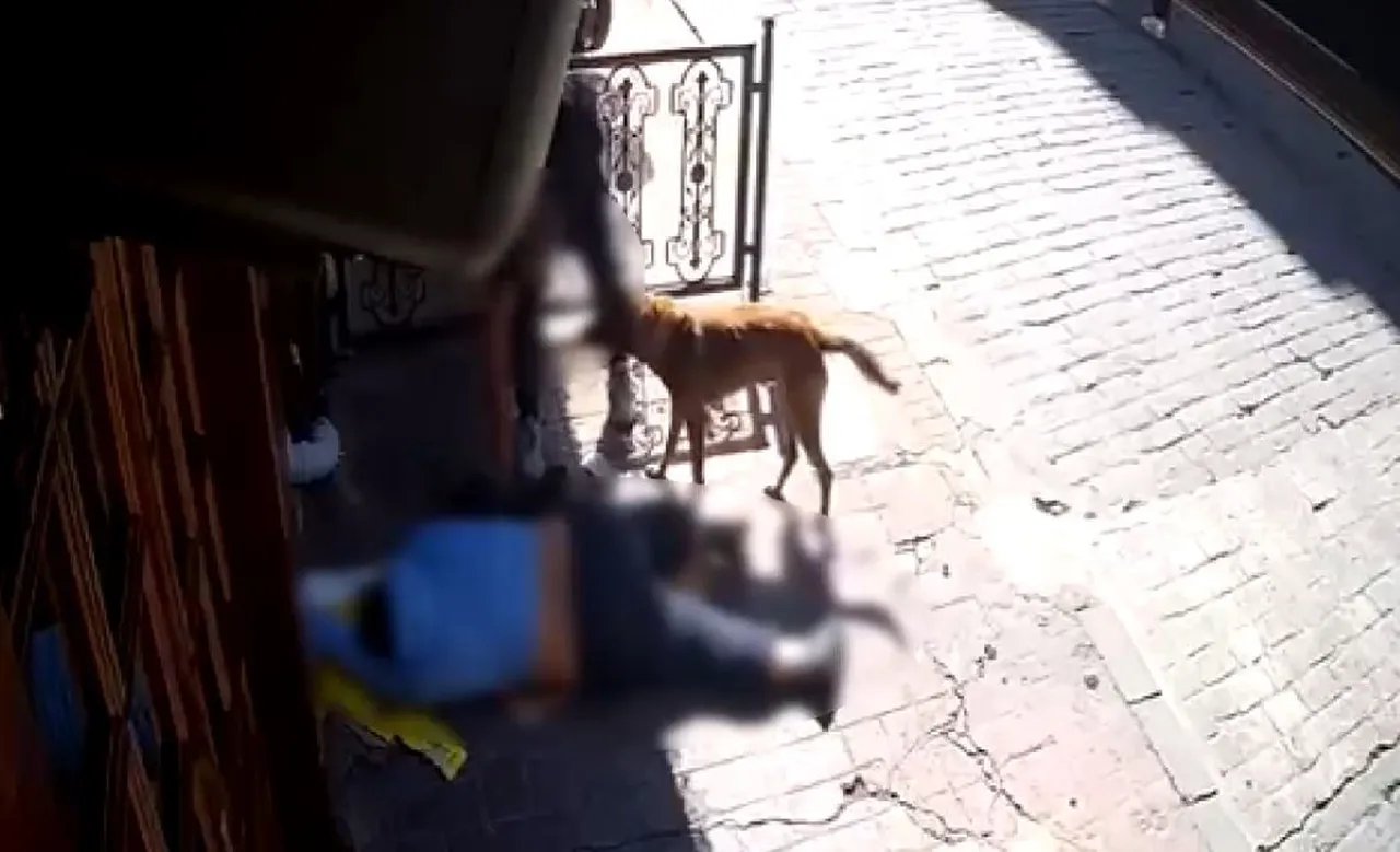 Beyoğlunda  insanlık ölmüş  dedirten olay! Sara nöbeti geçirip bayılan adamın neyi varsa çaldılar