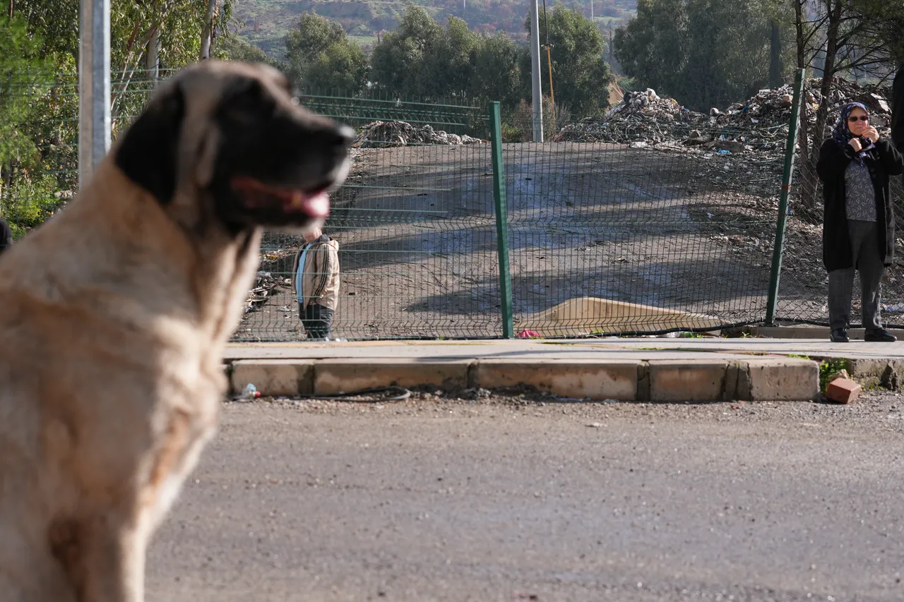 Buca Belediyesi Temizlik İşleri Müdürlüğü Şantiyesi