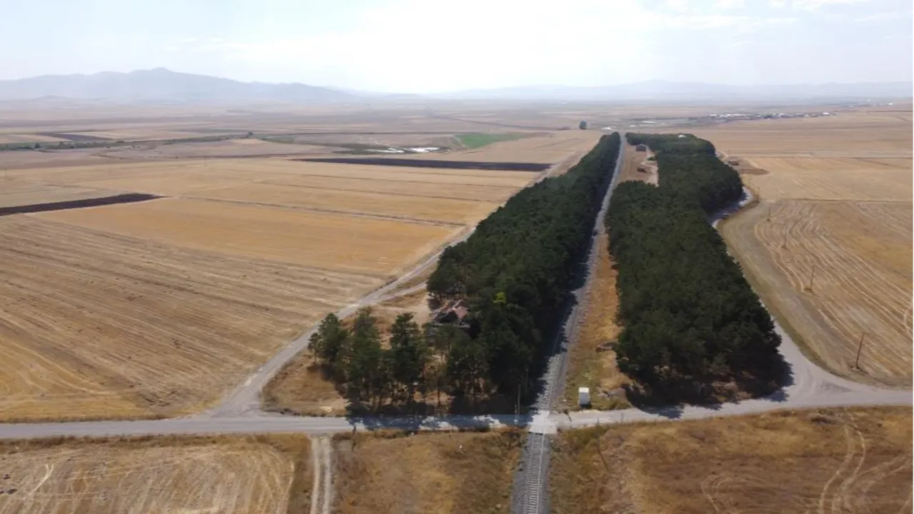 Karsta bozkırın ortasındaki vaha, görenleri mest etti