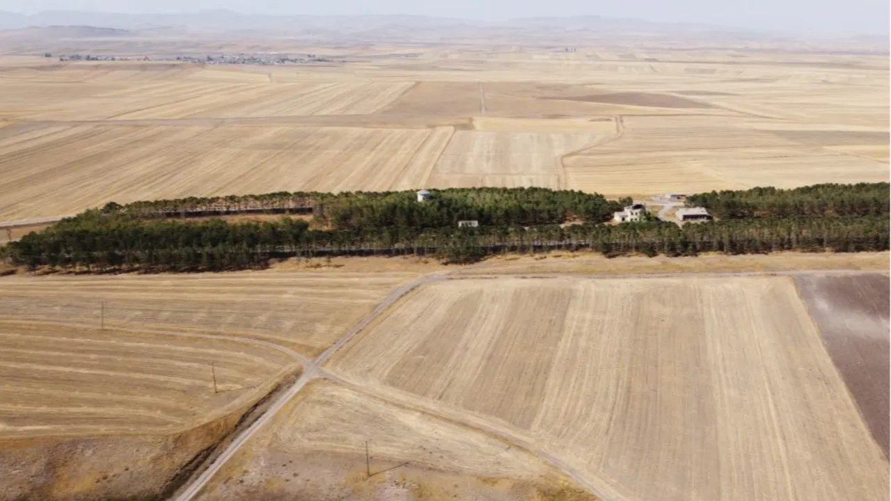 Karsta bozkırın ortasındaki vaha, görenleri mest etti