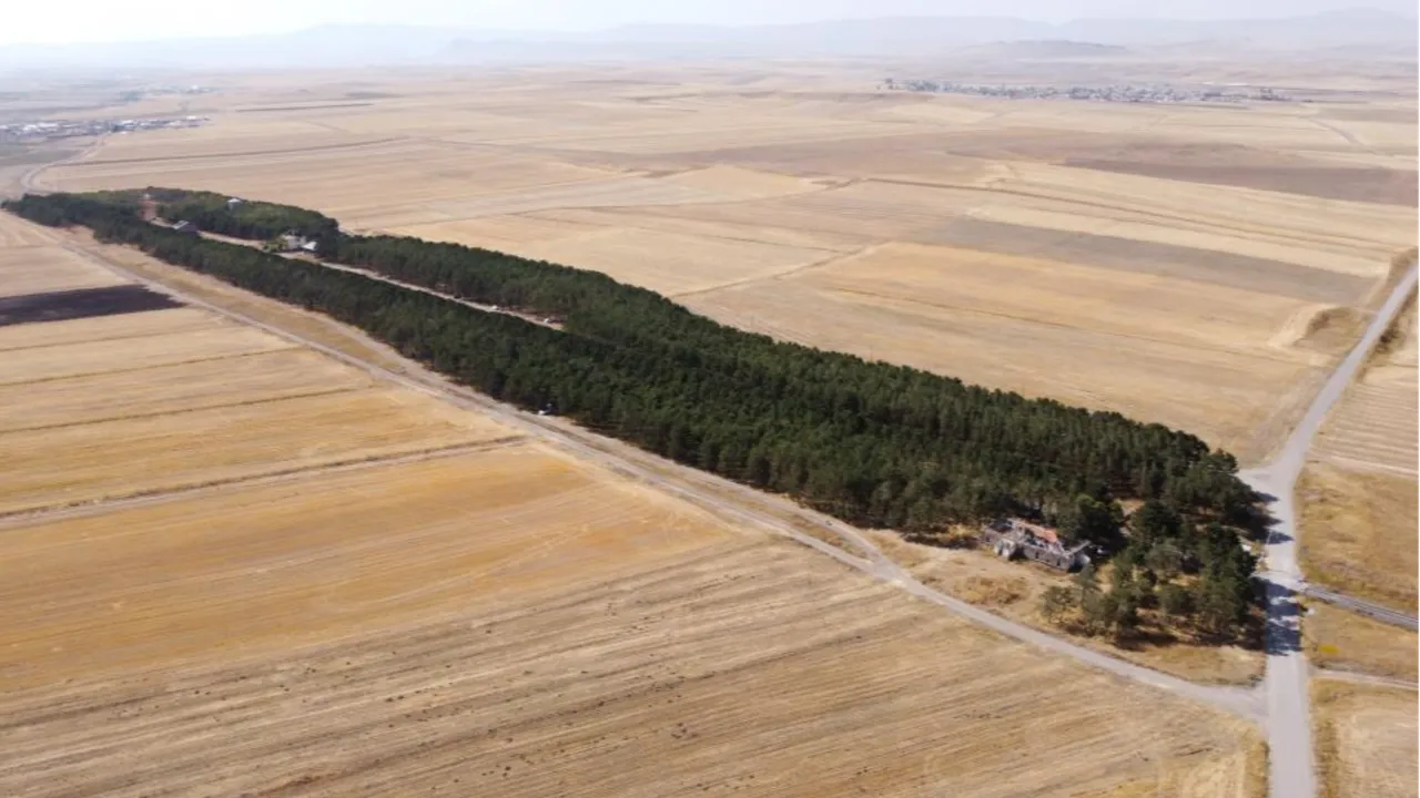 Karsta bozkırın ortasındaki vaha, görenleri mest etti