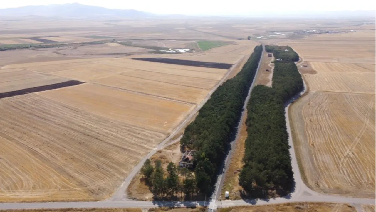 Kars'ta bozkırın ortasındaki vaha, görenleri mest etti