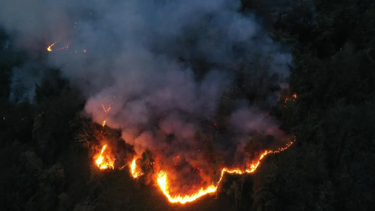 Artvin'deki orman yangını söndürüldü! Soğutma çalışmaları sürüyor