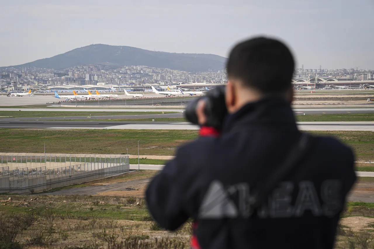 Sabiha Gökçen Havalimanı'nda yaban hayatı 7/24 izleniyor