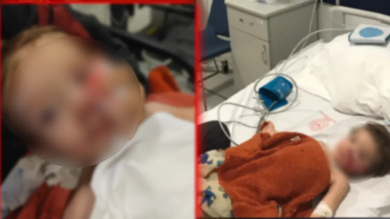 İki kardeşe saldırarak ağır şekilde yaralayan pitbull cinsi köpeğin sahibi gözaltına alındı 