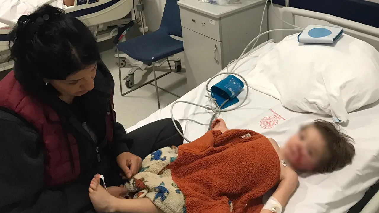 Pitbull cinsi köpek 2 kardeşe saldırdı