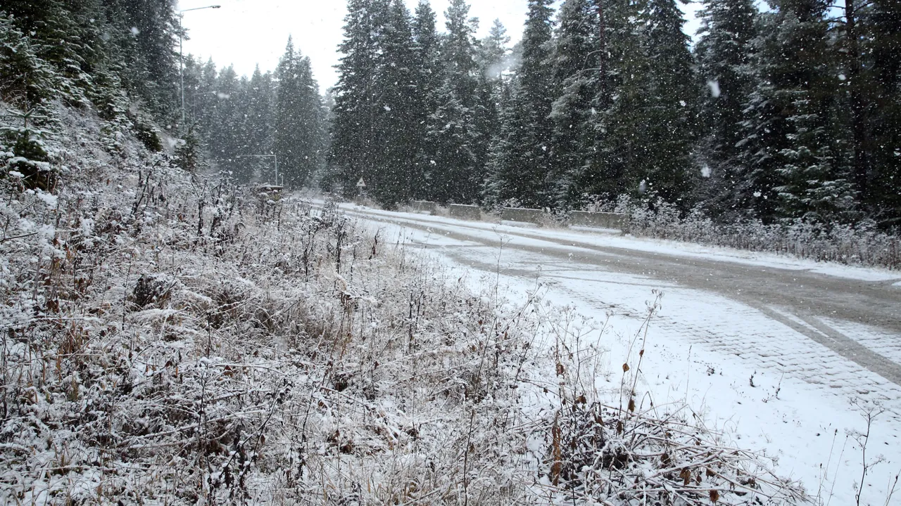 Ilgaz Dağı beyaza büründü: Kar ve sis görsel şölen oluşturdu