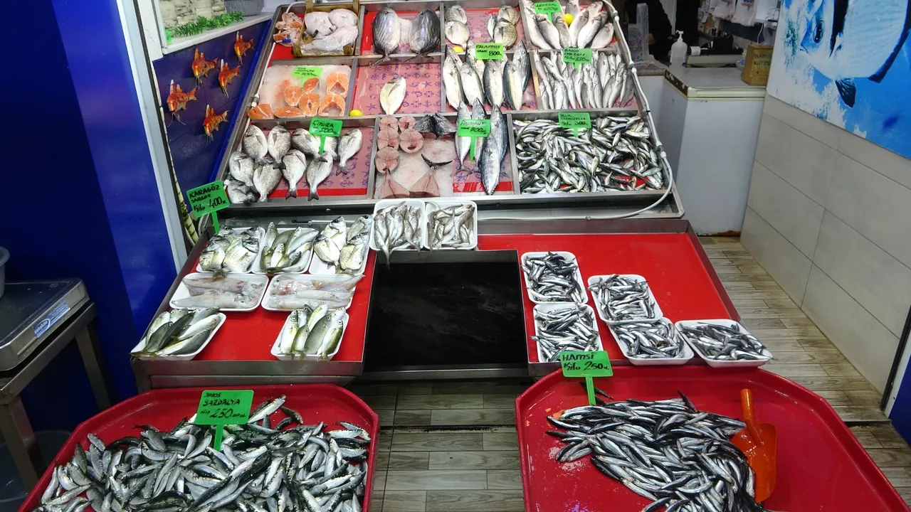 Denizde tek tip balık avcılığı başladı