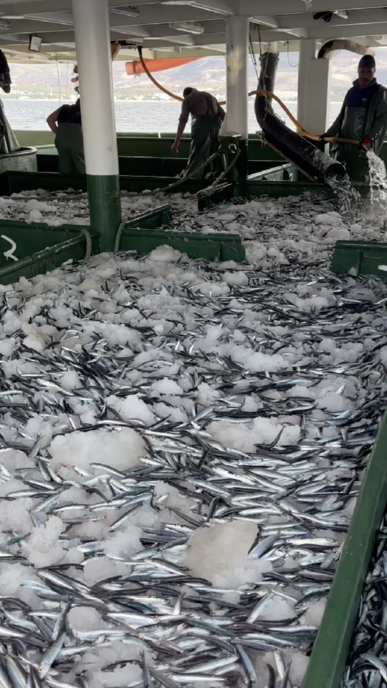 Şok tesisleri ve kamyonlar doldu taştı