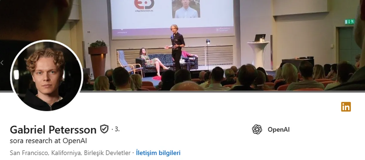 Gabriel Petterson'un Linkedin profili