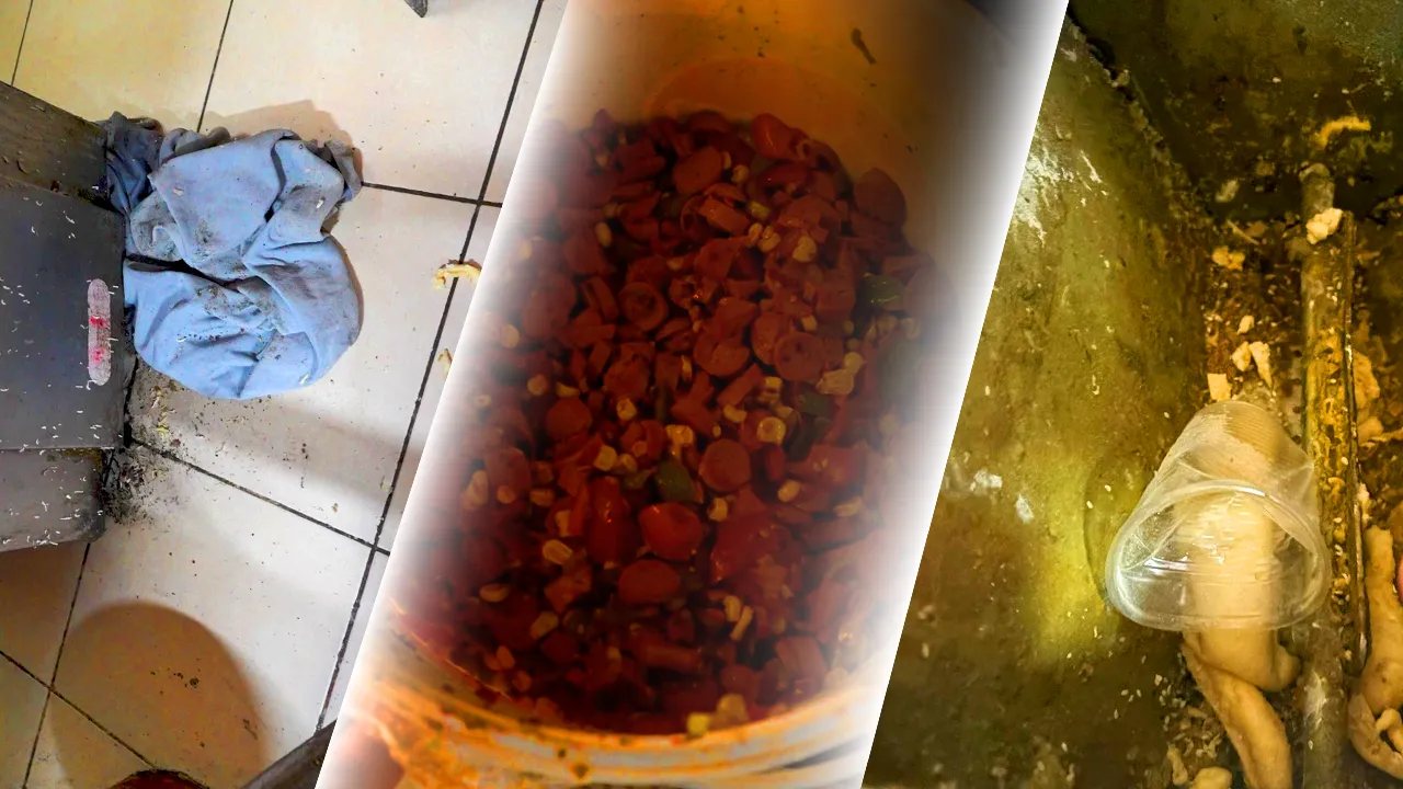 Mide bulandıran manzara! Hepsini öğrenciler tüketiyordu