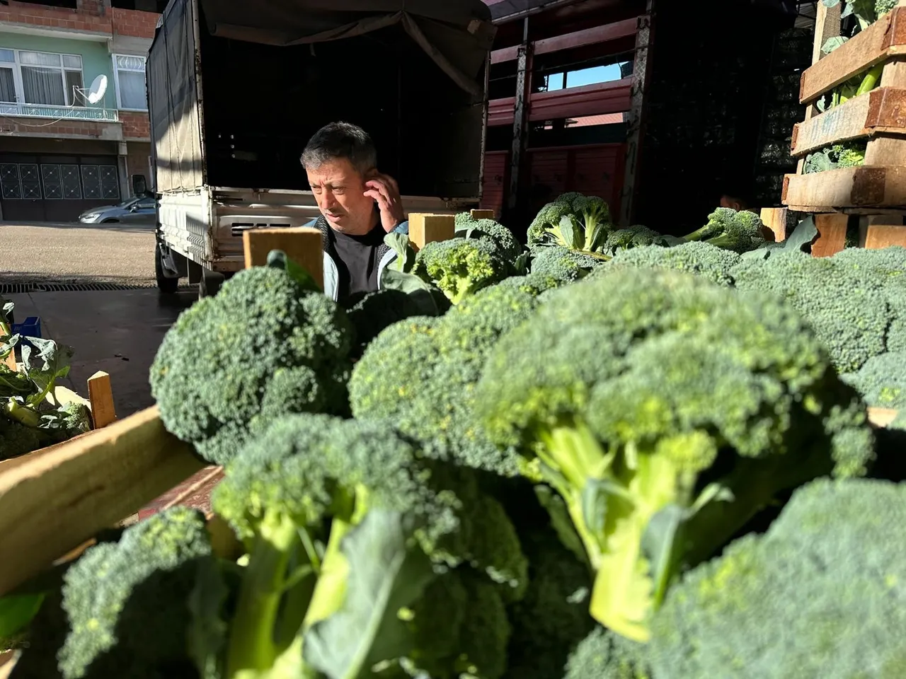 Tarlada 5, markette 70 lira! Üreticiler 14 katlık fiyat farkına tepkili