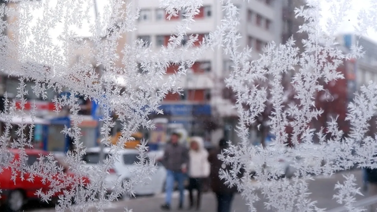 Erzurum'da kar yağışı ve pus etkili