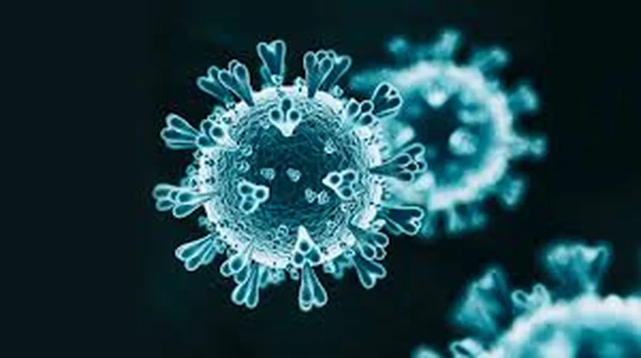 Aşı, bağışıklık sistemini güçlendiriyor