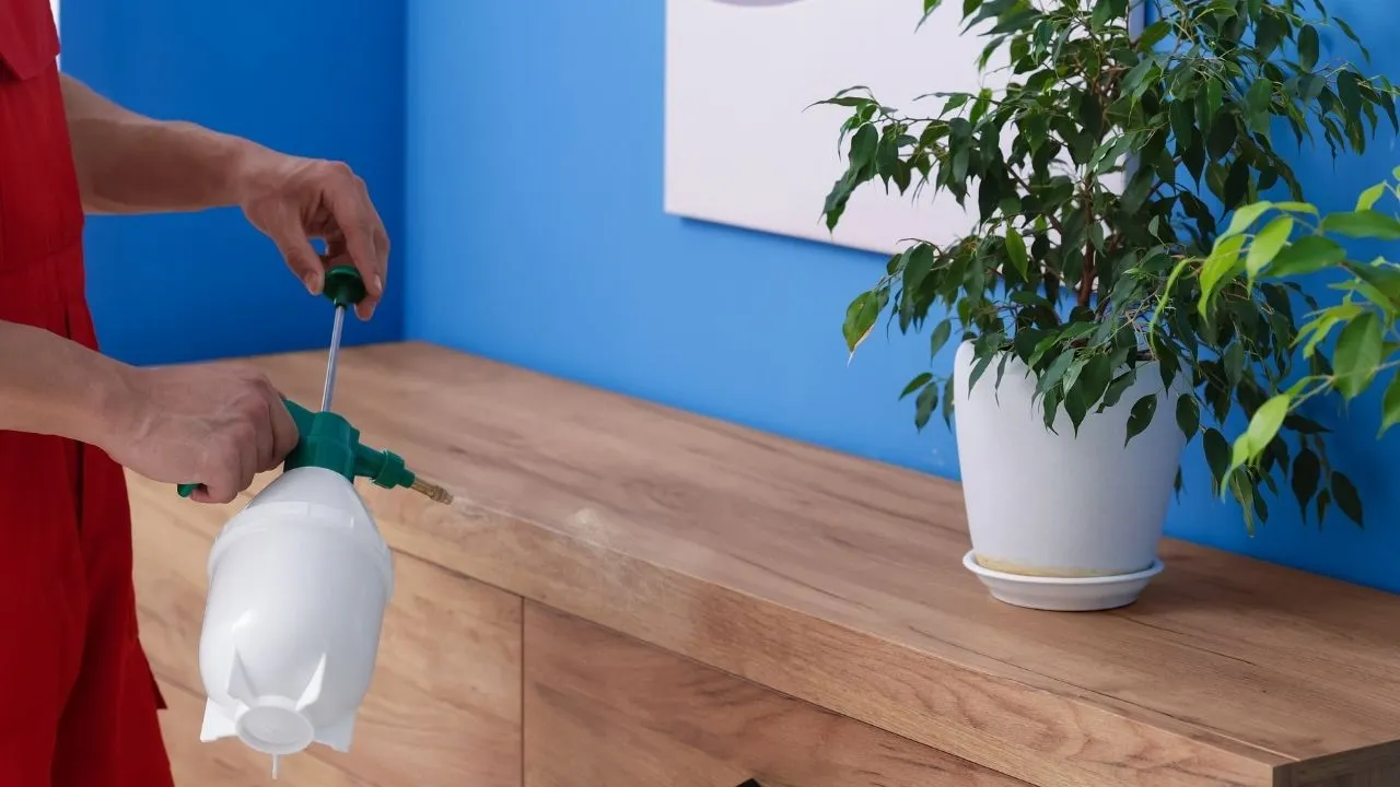 ABD'de kanser araştırmasında çalışan Doktor Feyza Canan evine sokmadığı 9 şeyi açıkladı