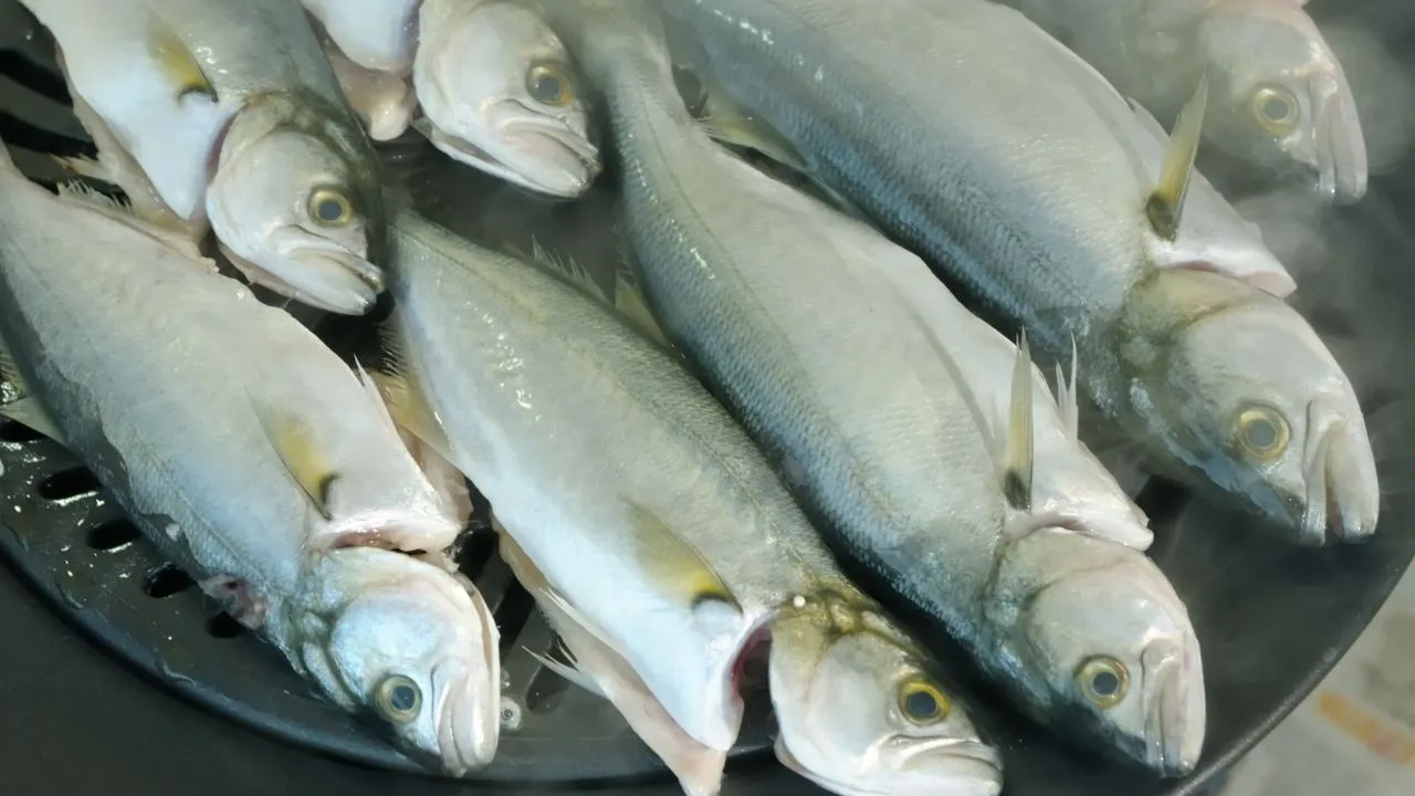 Aralık ayında hangi balıklar yenir?