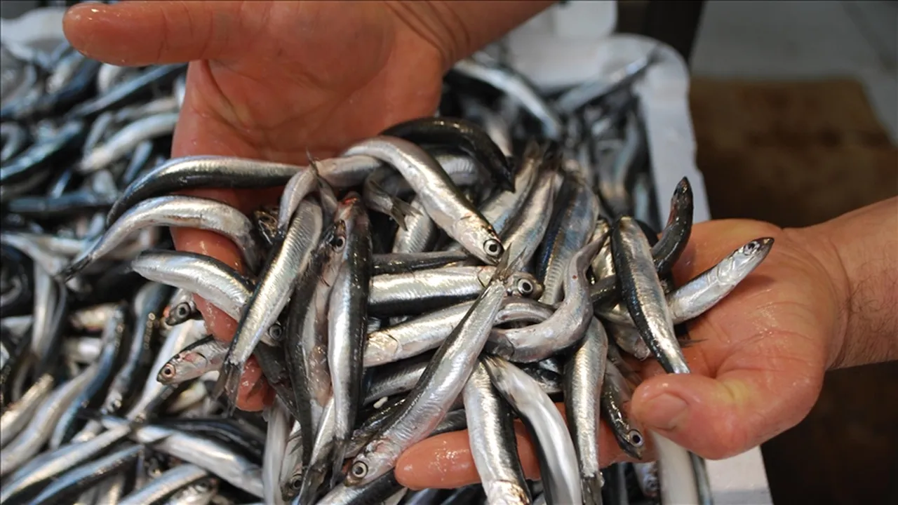 Hangi ayda hangi balık yenmeli?
