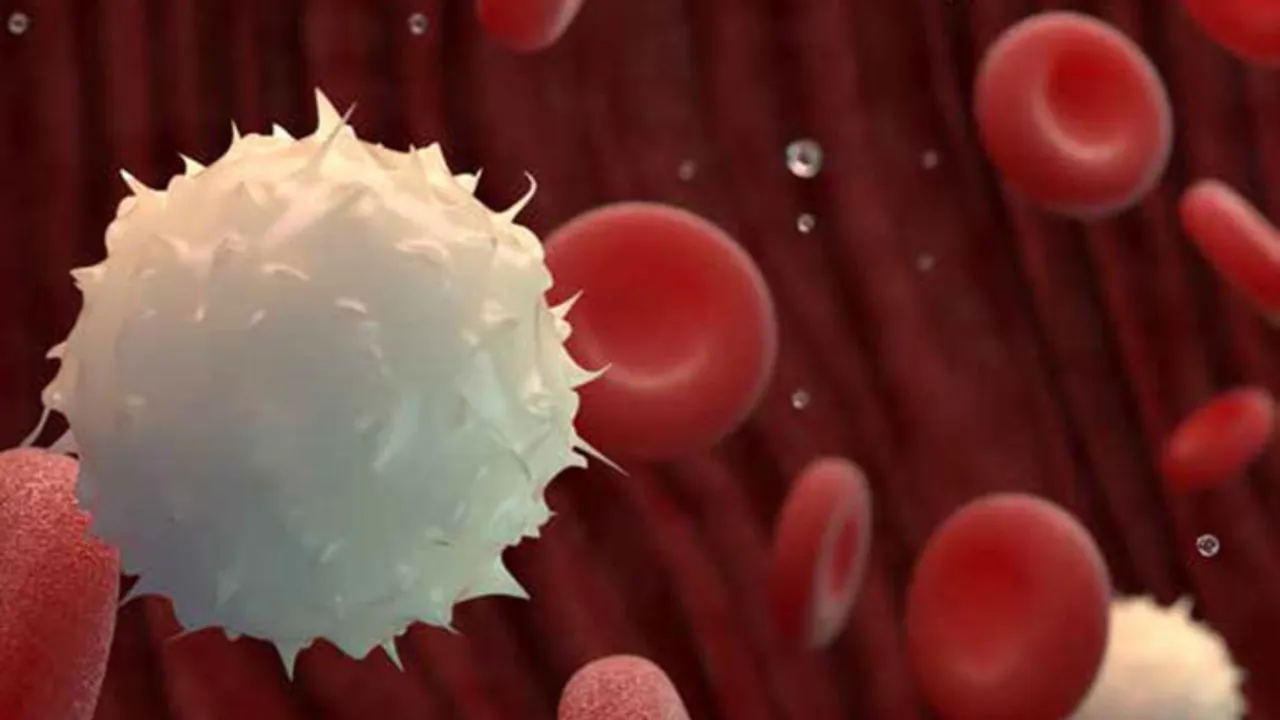 Bir yıl ömür biçilen hastalar tamamen iyileşti! Multiple Miyelom kanseri için en iyi tedavi yöntemi keşfedildi