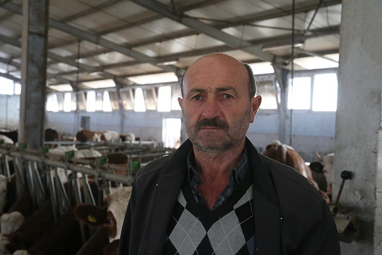 Devletten 1 milyon lira hibe aldı, 9 yılda hayvan sayısını 4ten 80e çıkardı