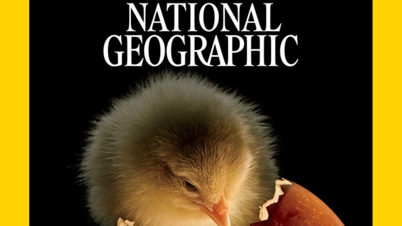 Güzel ve savunmasız! Yılın vahşi hayat fotoğraflarında artan hüzün