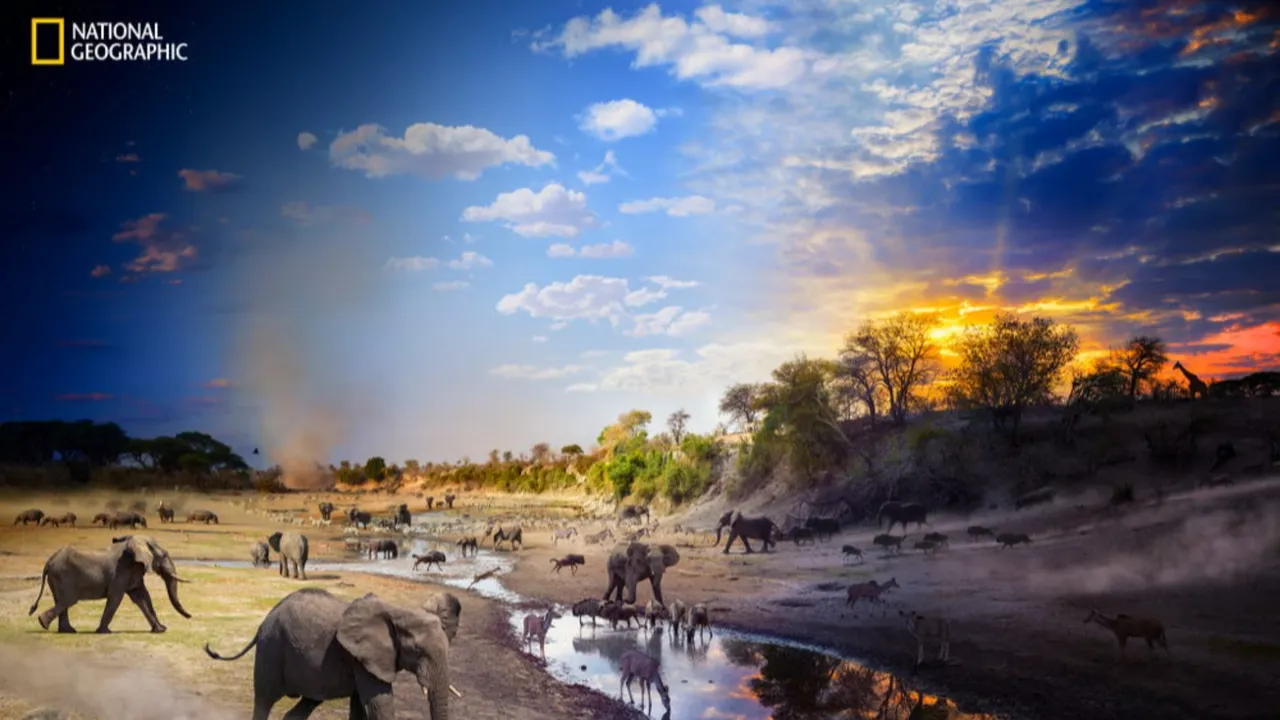 Güzel ve kırılgan! Yılın vahşi hayat fotoğraflarında artan hüzün