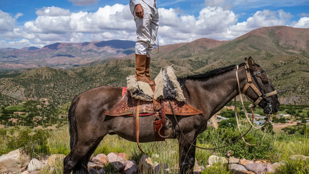 Güzel ve kırılgan! Yılın vahşi hayat fotoğraflarında artan hüzün