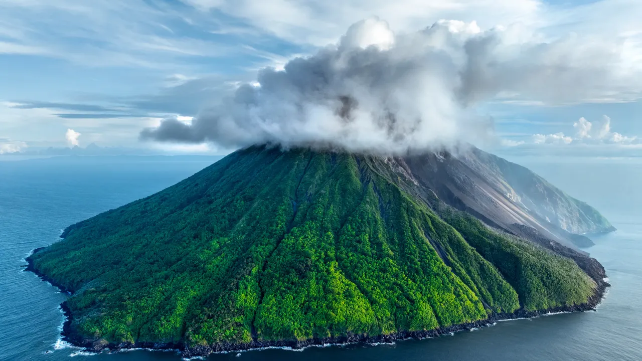 Güzel ve kırılgan! Yılın vahşi hayat fotoğraflarında artan hüzün