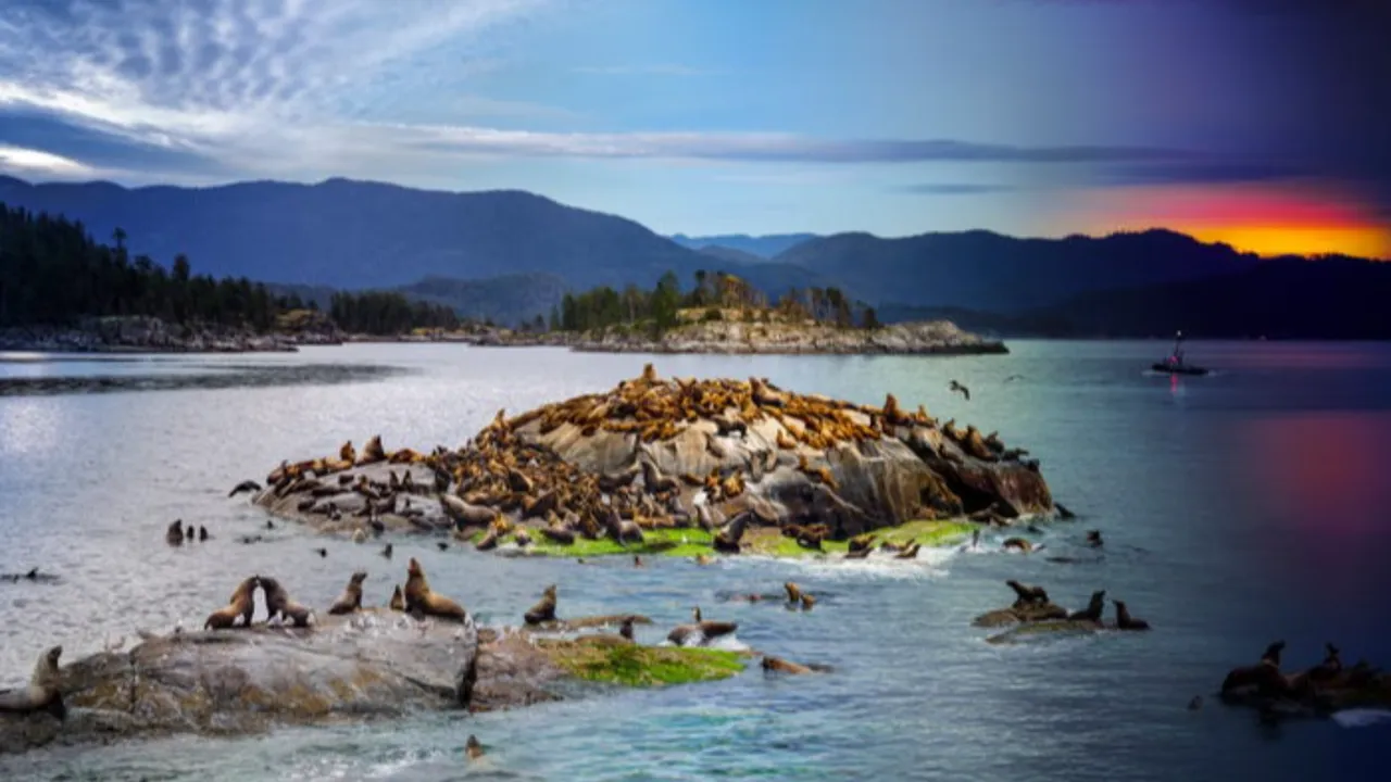 Güzel ve kırılgan! Yılın vahşi hayat fotoğraflarında artan hüzün