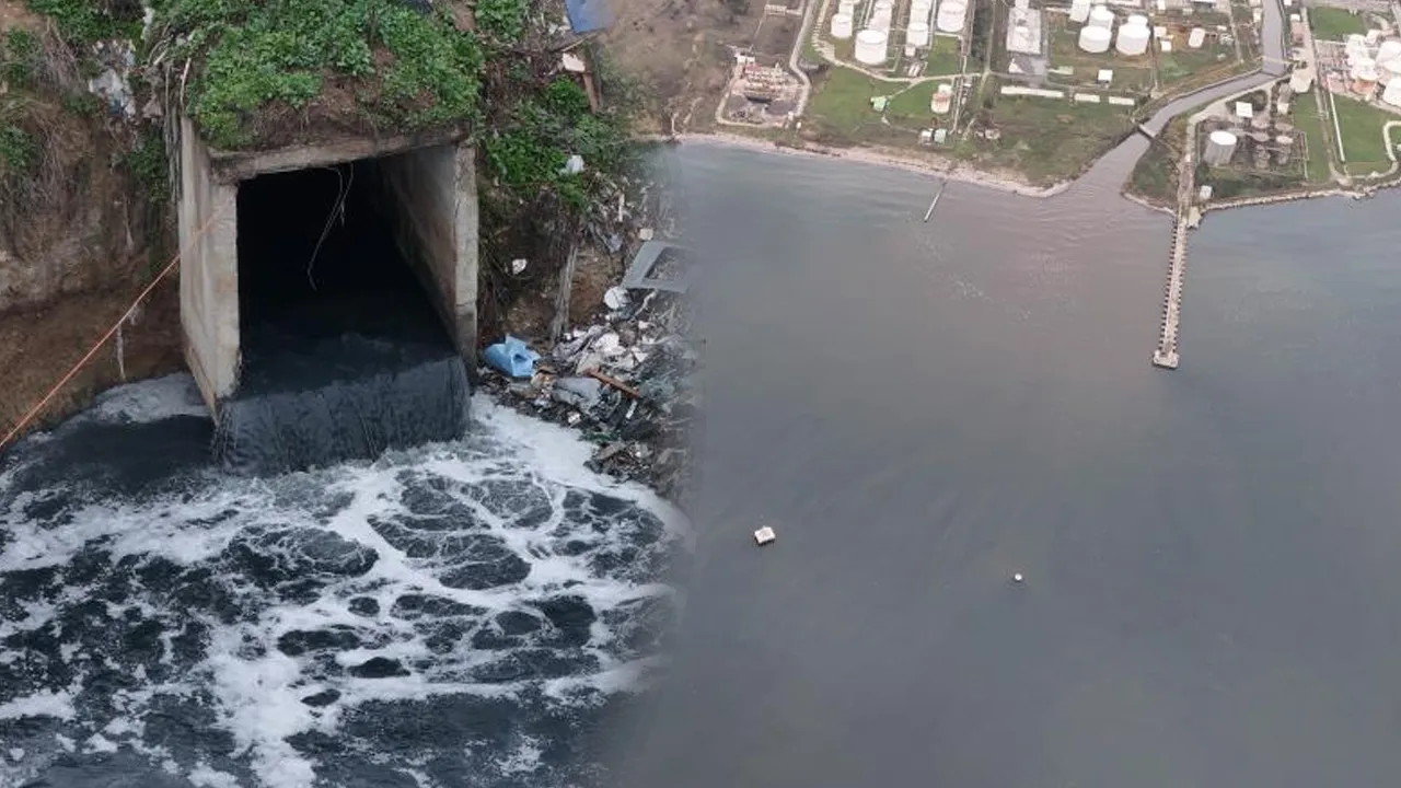 MARMARA'NIN RENGİ DEĞİŞTİ