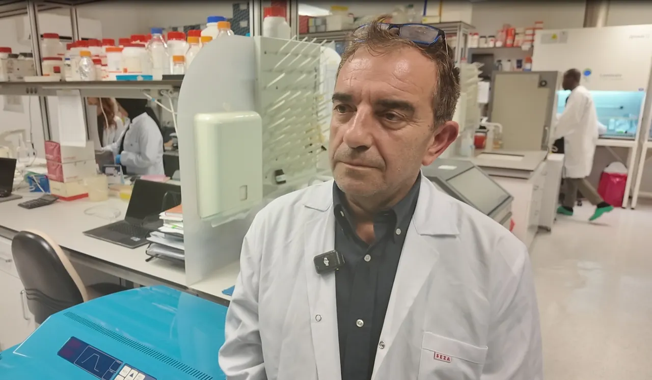 Kene kabusu bitiyor! Yerli aşı bulundu