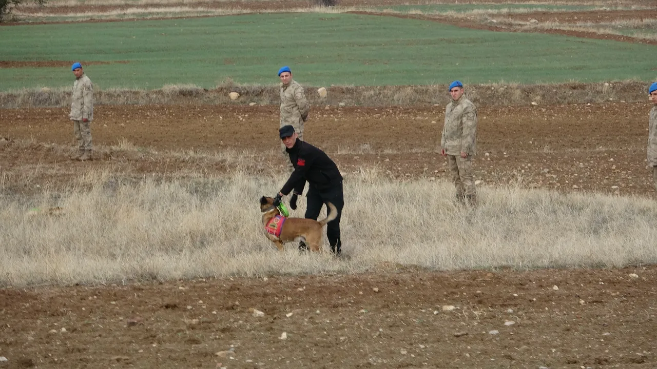 Kesik başı arama çalışmaları 6 gündür sürüyor