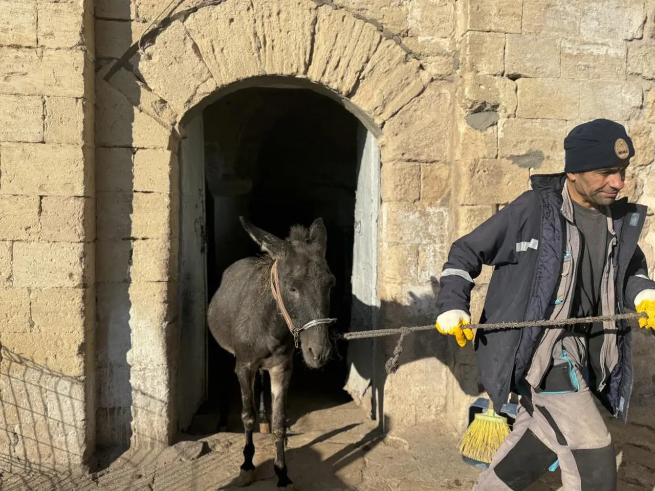 Mardin'de yeni dönem! Belediyenin kadrolu eşekleri emekli oluyor, büyük çiftlik tahsis edilecek