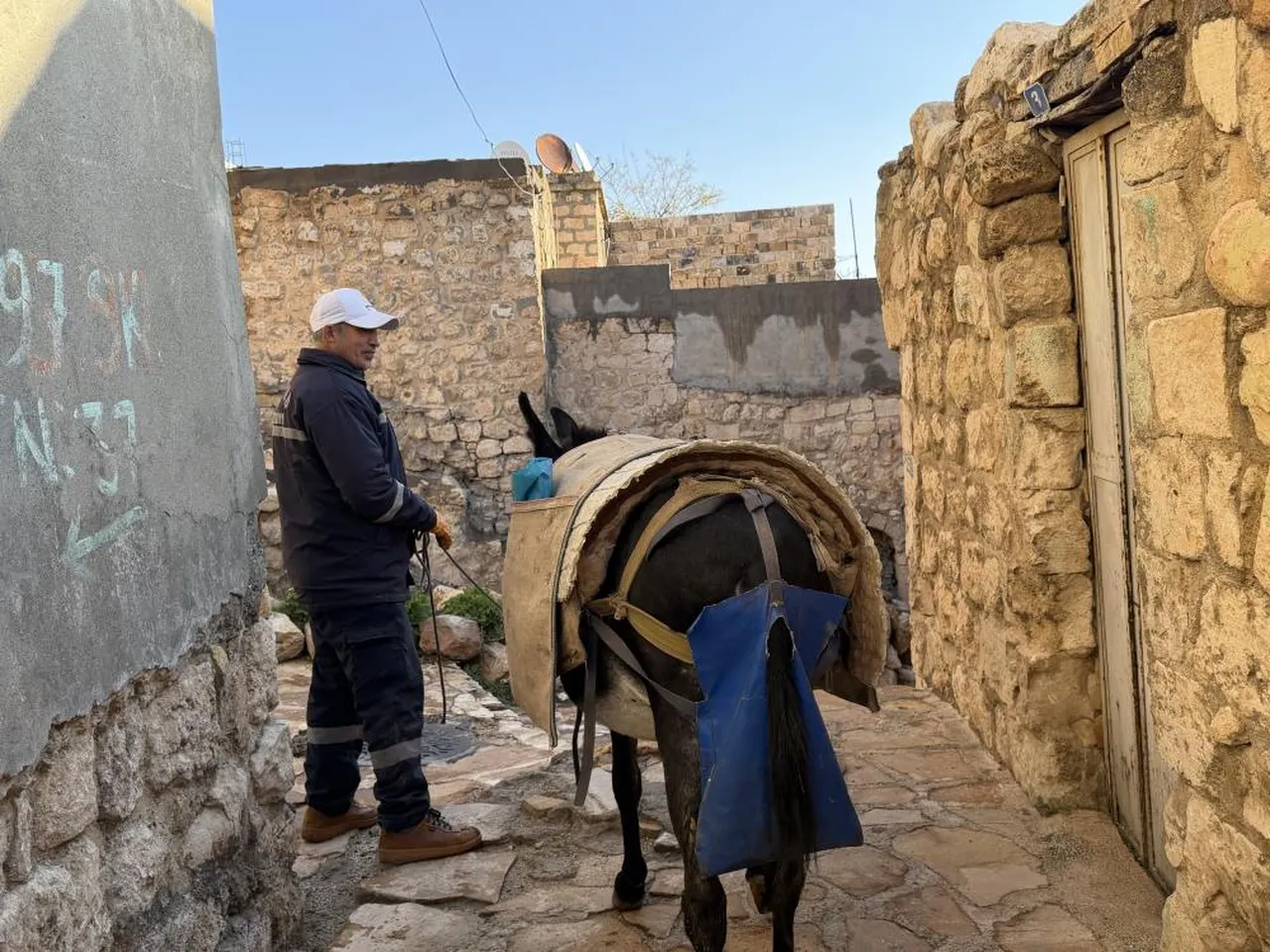 Mardin'de yeni dönem! Belediyenin kadrolu eşekleri emekli oluyor, büyük çiftlik tahsis edilecek