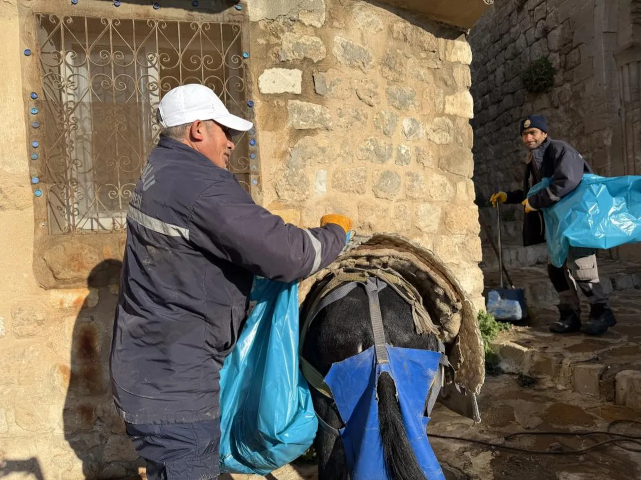 Mardin'de yeni dönem! Belediyenin kadrolu eşekleri emekli oluyor, büyük çiftlik tahsis edilecek