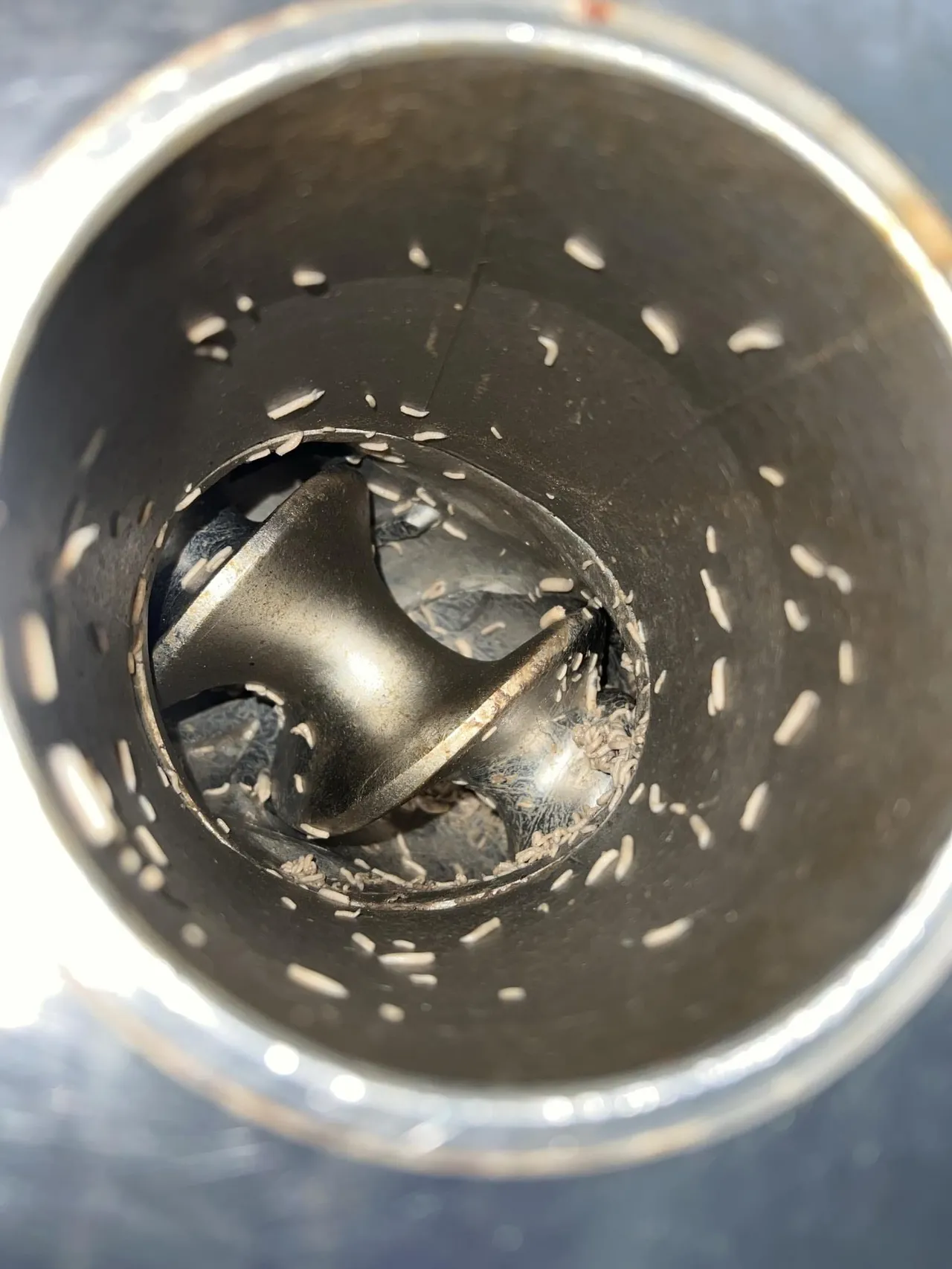 Gıdaların hazırlandığı kazanları kurt basmış