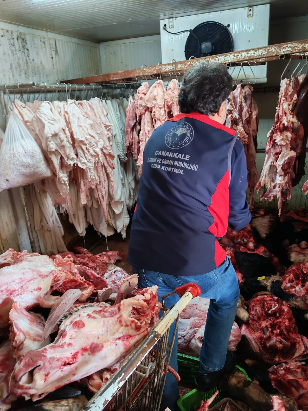 Satılan etler küflü arabalarda, yerlerde