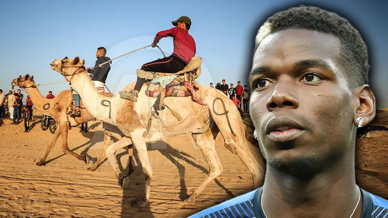 Pogba'dan ilginç yatırım: Deve yarışı takımına ortak oldu