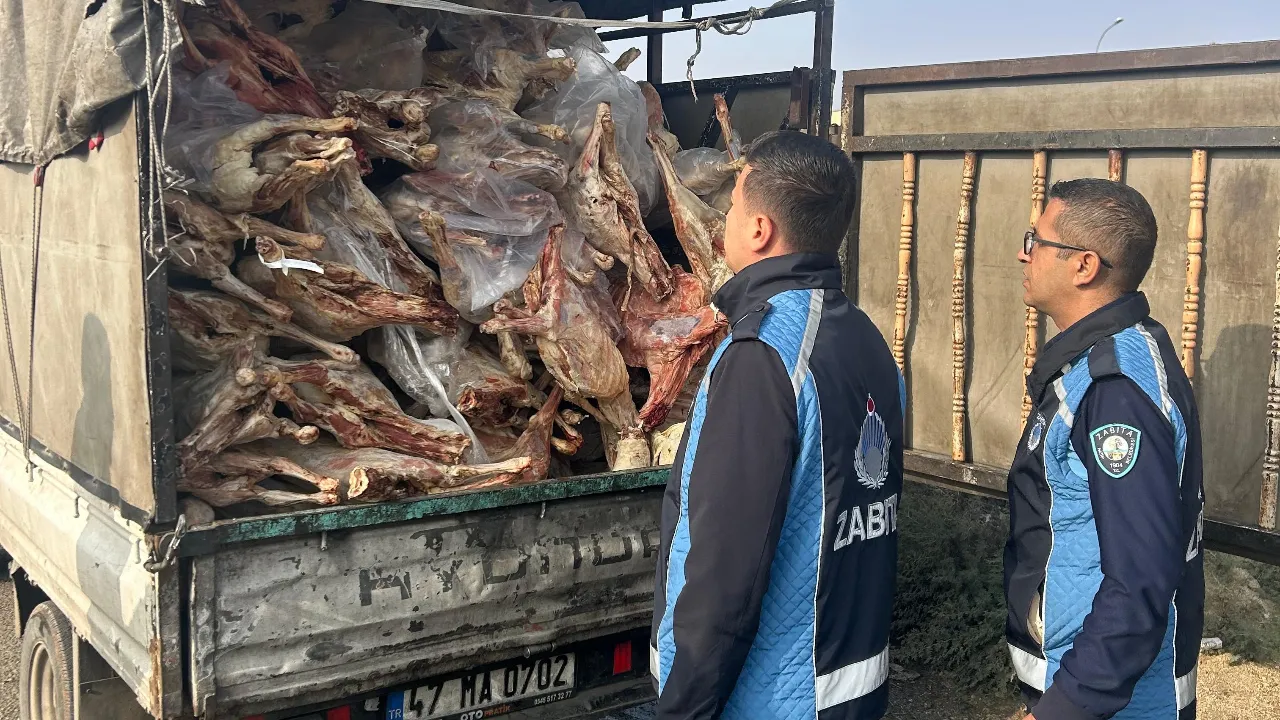Şüpheli araçtan çıkanlar mide bulandırdı! Hepsi imha edildi