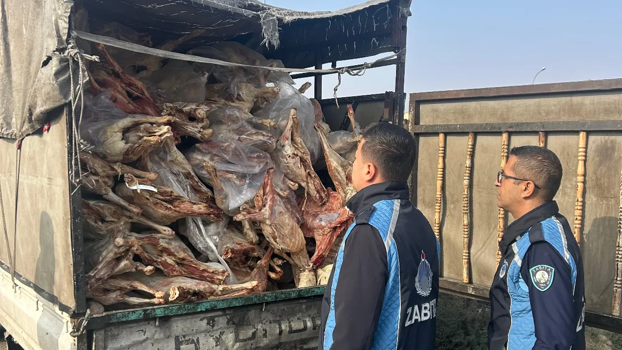 Vatandaşa yedireceklerdi! Polislerin durduğu araçtan 1.9 ton bozulmuş et çıktı