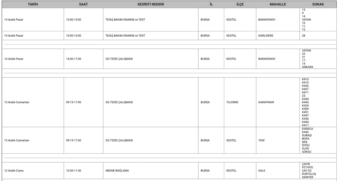 Bursa elektrik kesintisi 12-13-14 Aralık listesi! UEDAŞ planlı kesinti ne zaman bitecek, elektrikler ne zaman gelecek?