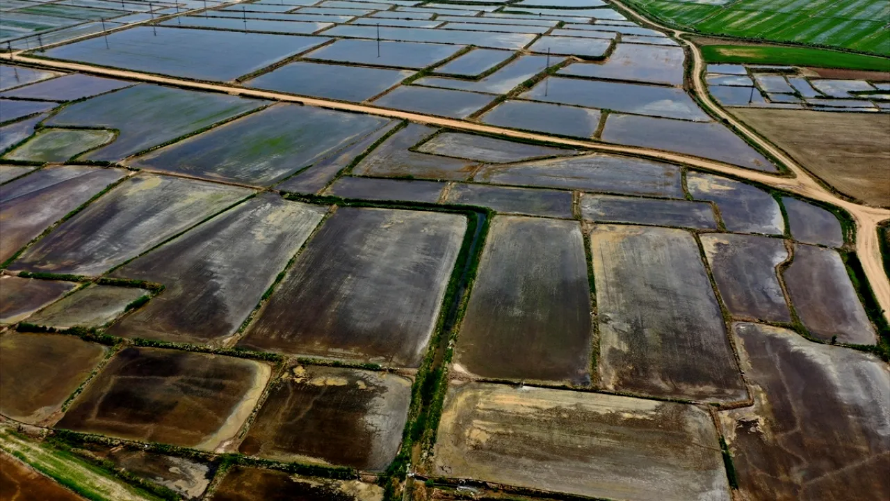 Bursa için harekete geçildi! Susuzluk sonrası yasak getirildi, ekilmeyecek