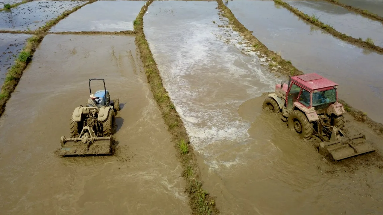 Bursa için harekete geçildi! Susuzluk sonrası yasak getirildi, ekilmeyecek