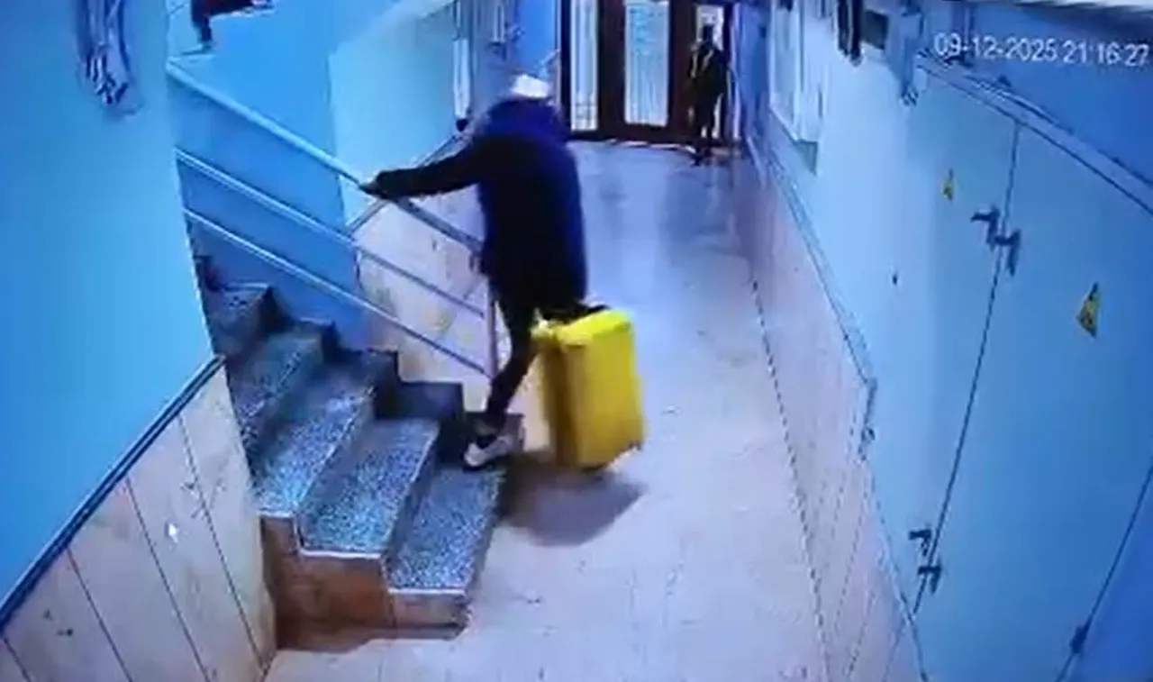 Dehşet ses kayıtlarında ortaya çıktı! Tuğyan, annesi Güllü'yü itti... Son sözü 'Bay bay' oldu