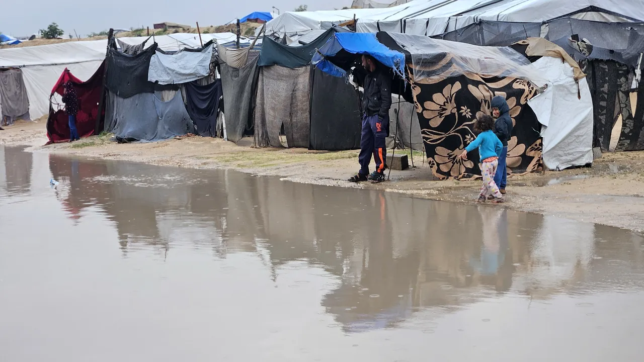 Gazzeli annenin feryadı yürekleri parçaladı! 