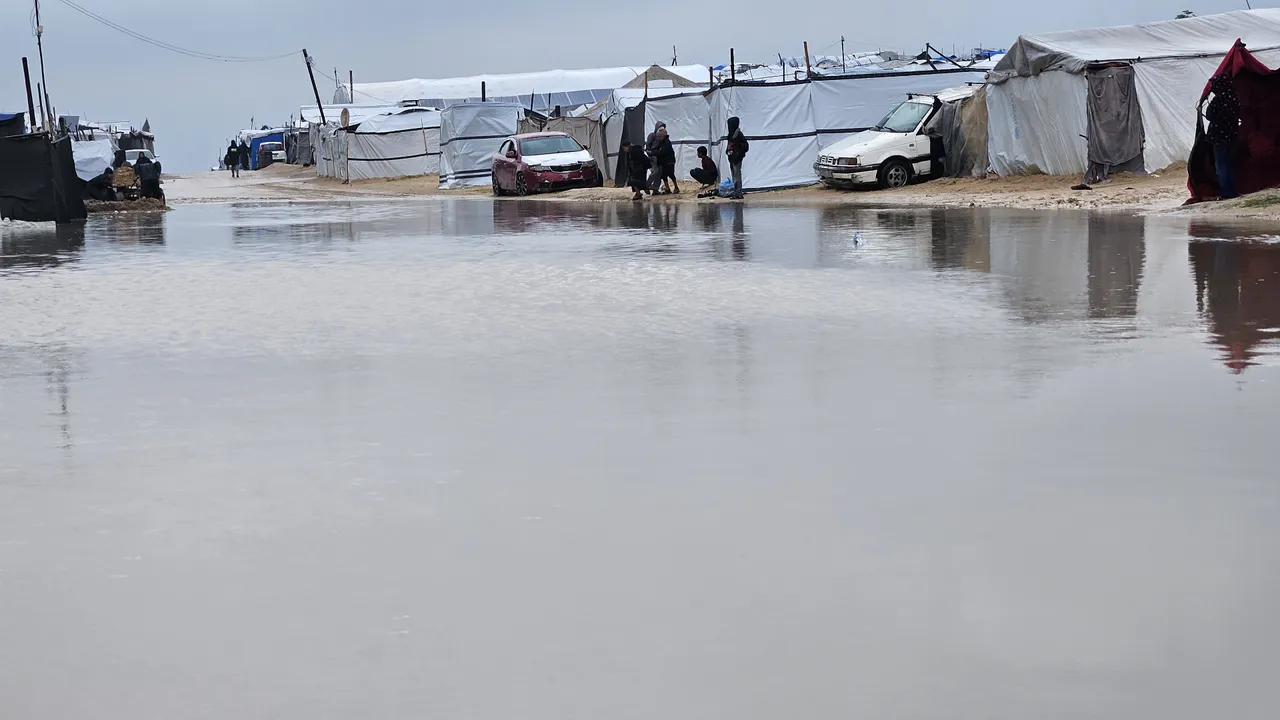 Gazzeli annenin feryadı yürekleri parçaladı! 