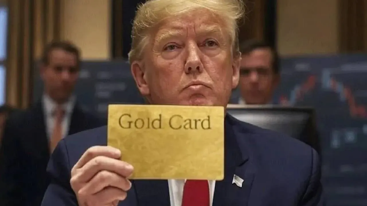 Gold Card ile Green Card arasındaki farklar nelerdir? Gold Card ve Green Card'tan hangisi daha iyi? Gold Card ve Green Card başvurusu nasıl yapılır?