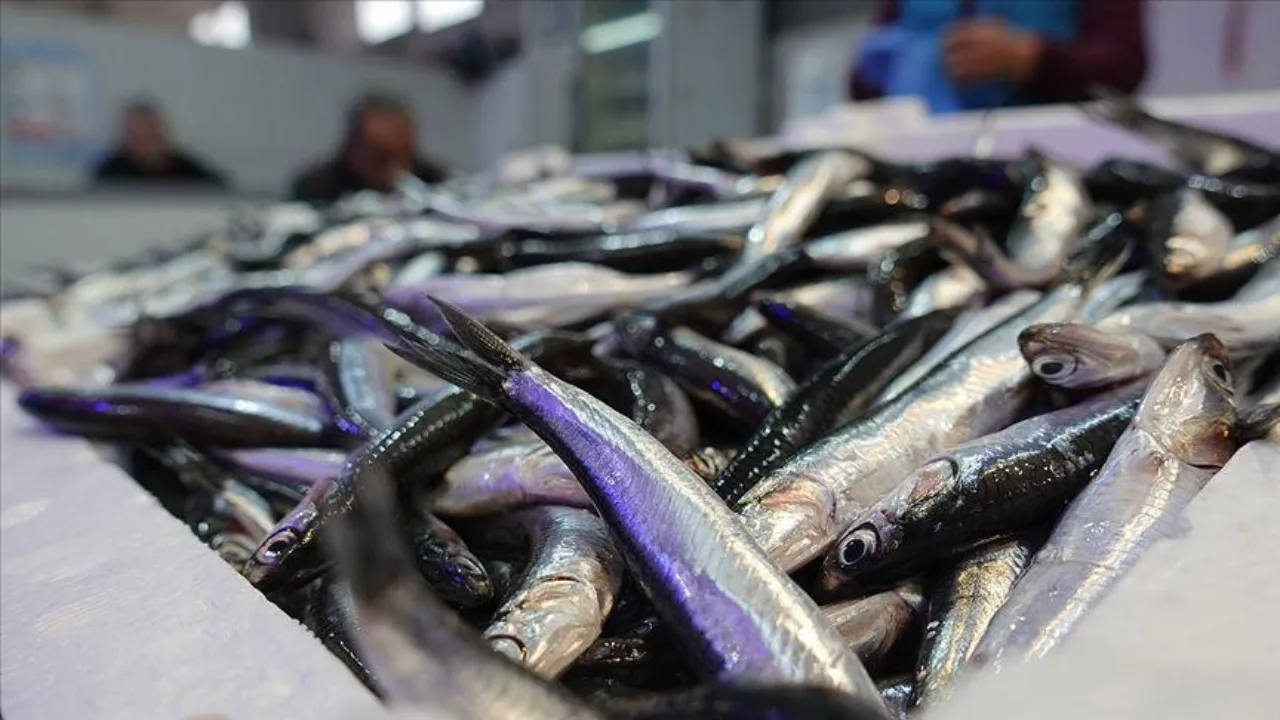 Hamside fiyat artışı! Kilosu 200 lira oldu