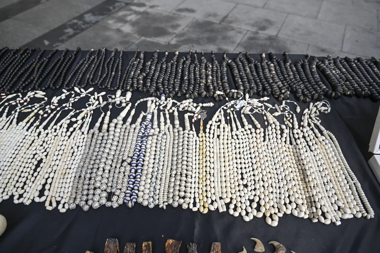 İstanbul'da tarihi eser operasyonu! Timsah eli, piton derisi, sikke, tüfek, kılıç...