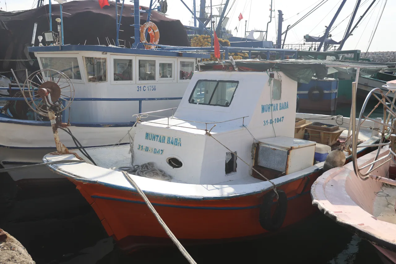 Arama çalışmaları devam ediyor